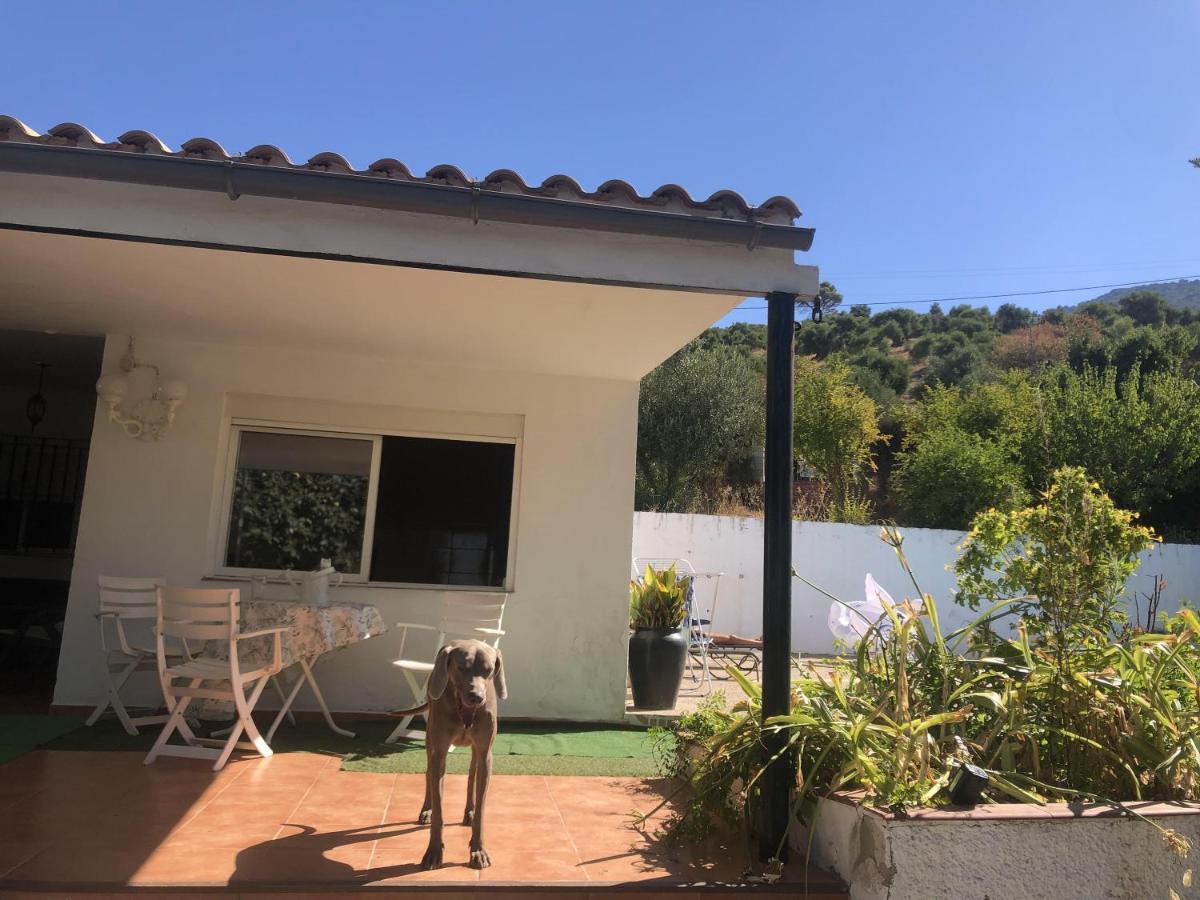 Villa Rosario El Bosque Kültér fotó